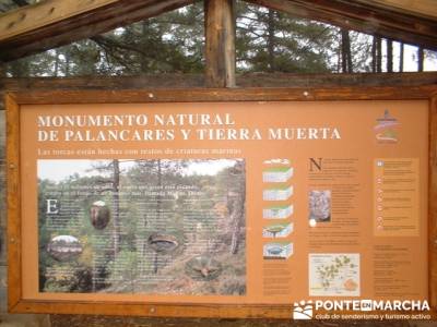 Monumento Natural de Palancares y Tierra Muerta; rutas para andar por madrid